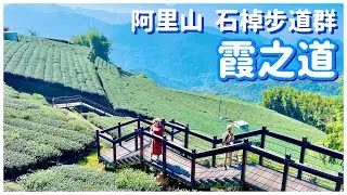 【嘉義景點】 車遊阿里山「霞之道」欣賞沿途高山茶田美景  chiayi , Taiwan - 4K
