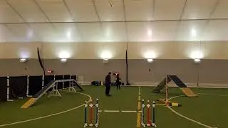 Novice standard