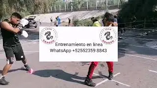Entrenamiento de boxeo Pasos en L la explicación completa