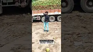 All Over India Green Coconut Wholesale Supplier From Direct Farm Areas#greencoconut#vickyagro#shorts