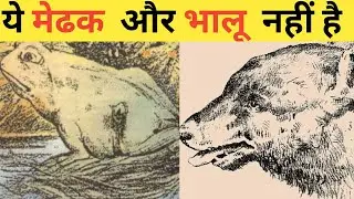 इस photo मे क्या हैं?enigmatic photo illusion explained || illusion video || fecttechz