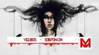 Velibus - SubPunch
