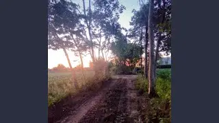 [There's a shopping center in the heart of the forest]