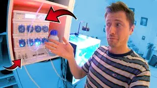 Ein XXL Computer fürs Aquarium! 😳
