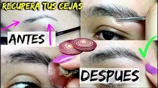COMO ENGROSAR LAS CEJAS  DE MANERA NATURAL!! 100% EFICAZ