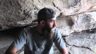 J tree clip
