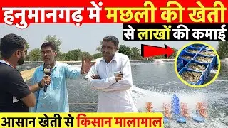 हनुमानगढ़ में झींगा मछली की आसान खेती से किसान हो रहे मालामाल ~ Jhalko Hanumangarh News