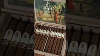 The Davidoff Winston Churchill Limited Edition 2025
