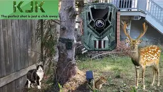 KJK 24MP 1080P Trail Camera | Record Animals That Visit Your Yard