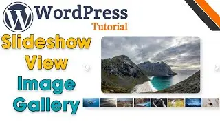 How to Create an Image Gallery in WordPress | WordPress Image Gallery Tutorial | WordPress Tutorial