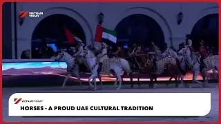 Horses - A proud UAE cultural tradition | Vietnam Today