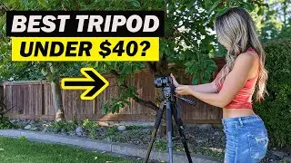 BEST Budget Tripod? | UBeesize 67