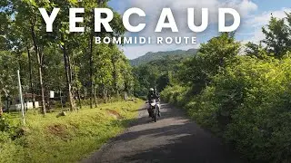 ஏற்காடு hidden route | Dharmapuri to Yercaud bommidi route - Yercaud Hill station #yercaud