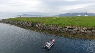 Premium Puffin tour from Reykjav&iacute;k