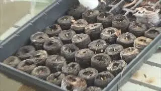 building a green house rack using scrap