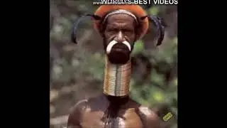long neck meme earrape
