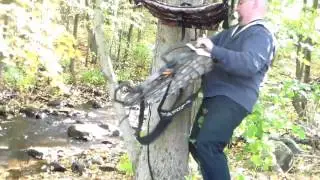LONE WOLF сидеть и карабкаться широкий обзор в реальном времени..