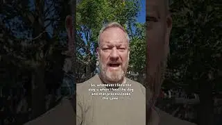 The Important Part Of Consistency In Dog Training | Devine Talks Dogs | Canton Michigan Dog Trainer