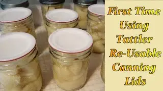 First Time Using Tattler Re-Usable Canning Lids