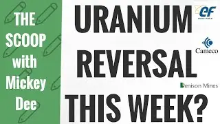 Uranium Reversal Coming! When? Lithium / Crypto / Cannabis Gold/Silver  Baby Knockouts / The Scoop