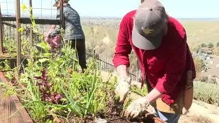 Too soon to plant? Garden experts share tips on what to plant and when