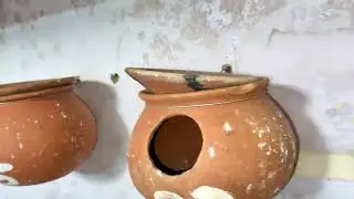birds ko breeding ke liye konsi nesting material dena chahiye. love bird nest making