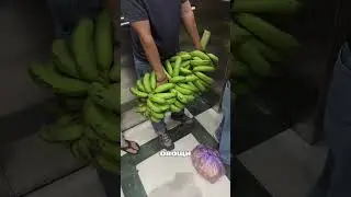 Как стать миллионером #нячанг