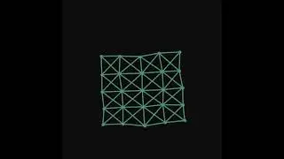 spring network simulation