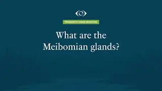 What are Meibomian Glands and How Do They Affect Dry Eyes? | Premier Eye Care | 2022