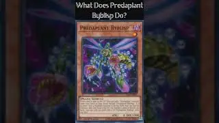 What Does Predaplant Byblisp Do?