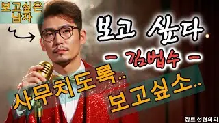 김범수 - 보고싶다(트로트 ver.)