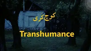 مستند کوچ کَری، ساختهٔ جعفر آقابرارنیا گودرزیKooch Kari, Jafar Aghabararnia Goodarzi