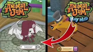 Animal Jam Play Wild Features That NEED to Come To Animal Jam!