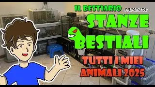 STANZE BESTIALI ep.8 Tutti gli animali di Ste 2025