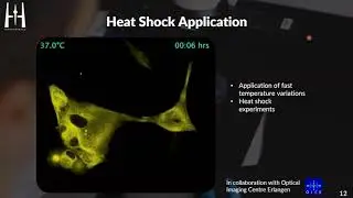Webinar Temperature Control in high-resolution microscopy