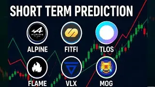 Alpine usdt