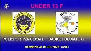 UNDER 13 FEMM   POLISPORTIVA CESATE -  BASKET OLGIATE C.  DOM 01-02-26 15:00