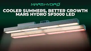 🔥 Beat the Heat with the SP3000! 🌿☀