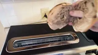 Hamilton Beach 2-in-1 Countertop Toaster & Toaster Oven!