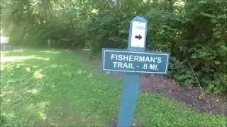 Bee Tree Park: 30 Trails 30 Minutes