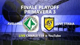 Avellino-Juve Stabia | Diretta Finale ritorno Play Off | Dallo Stadio Partenio Lombardi