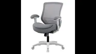 WITTLONG Ergonomic Double Seat Executive Office Chair Review - Pros & Cons - office chair