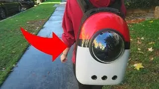 I WENT POKEMON HUNTING WITH MY CAT