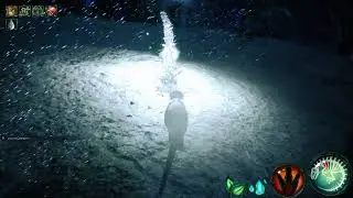 Beasts of Bermuda (aurora growth finale)