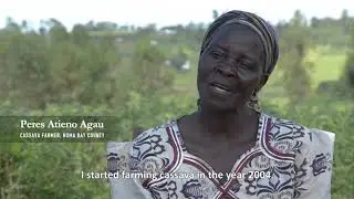 Climate Smart Agriculture: Cassava Value Chain