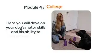 Brain Training For Dogs Adrienne Farricelli | Don&rsquo;t Buy Before Watch This