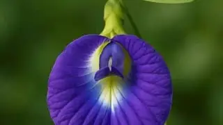 അതെ ഞാൻ വന്നു 🥰