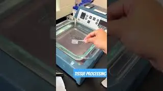 Tissue Processing || Histopathology