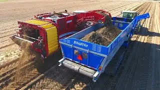Harvesting Potatoes in California with the Crop Shuttle