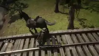 The Suicide Horse of RustySteps in Red Dead Redemption 2